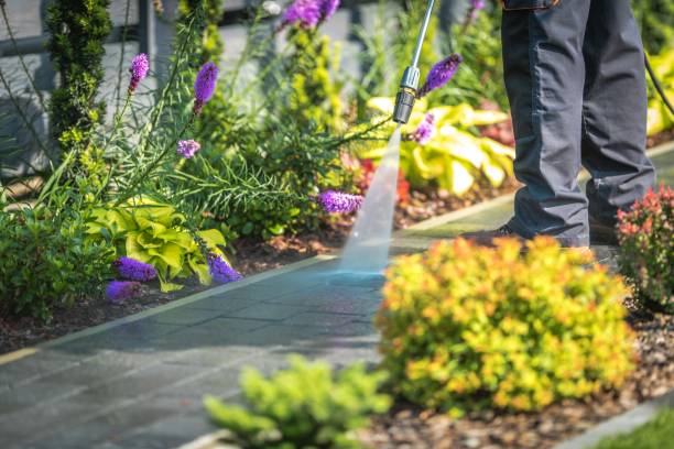 Best Factory Floor Cleaning  in Moncks Corner, SC